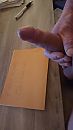 Verify, foto 1152x2048, 0 reacties, 1 stemmen