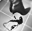 Verrassing....., foto 2448x2325, 9 reacties, 46 stemmen