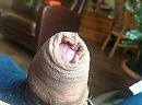 Verstopt, foto 2592x1936, 1 reacties, 2 stemmen