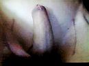 Very nice Morning, foto 640x480, 0 reacties, 1 stemmen