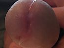 Vochtig, foto 2206x1654, 3 reacties, 6 stemmen