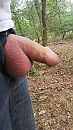 Volle zak, foto 2250x4000, 24 reacties, 59 stemmen
