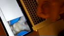 Voor plans, film 00:00:00, 3 reacties, 12 stemmen