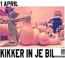 Voor de grapjassen onder ons, foto 578x520, 1 reacties, 14 stemmen