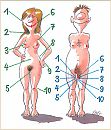 Vrouw Man, foto 737x861, 1 reacties, 5 stemmen