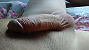 Weer zin !, foto 3264x1836, 2 reacties, 6 stemmen