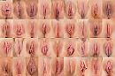 Welke kies jij ? :-), foto 4000x2666, 17 reacties, 23 stemmen