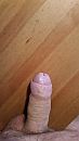 Woody, foto 1836x3264, 2 reacties, 11 stemmen