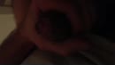 You did this, film 00:00:22, 6 reacties, 18 stemmen