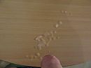 Zaad overal, foto 4000x3000, 6 reacties, 9 stemmen