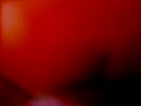 Zalig!, film 00:00:00, 28 reacties, 255 stemmen