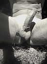 Zitplaats in de zon..., foto 960x1280, 2 reacties, 12 stemmen