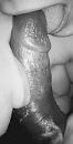 Zoete inval..., foto 1088x2118, 8 reacties, 57 stemmen