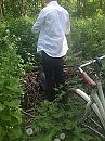 Zomer, foto 2322x3083, 0 reacties, 2 stemmen