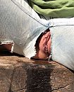 Zoooo.... Van dat gezeik, foto 955x1175, 16 reacties, 98 stemmen