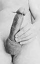 Zwart/wit, foto 673x1067, 0 reacties, 2 stemmen