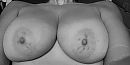 Zwartwit, foto 1176x588, 4 reacties, 22 stemmen