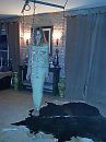 ., foto 97x130, 6 reacties, 51 stemmen