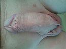 ., foto 2560x1920, 1 reacties, 3 stemmen