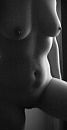...., foto 1590x3072, 54 reacties, 271 stemmen