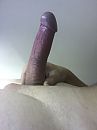 ..., foto 960x1280, 1 reacties, 1 stemmen