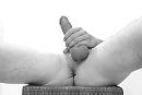 ...., foto 2033x1372, 1 reacties, 5 stemmen