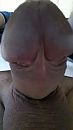 ., foto 1080x1920, 1 reacties, 2 stemmen
