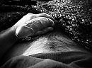 ., foto 550x407, 3 reacties, 13 stemmen
