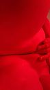 ah, foto 720x1280, 14 reacties, 119 stemmen