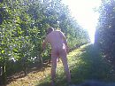 appeltje, foto 2048x1536, 3 reacties, 6 stemmen