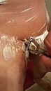ballen ook, foto 2250x4000, 0 reacties, 0 stemmen