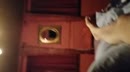 beettje spelen, film 00:00:00, 0 reacties, 7 stemmen