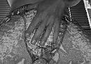 before the snake escapes..., foto 1001x716, 0 reacties, 1 stemmen