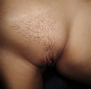 behaard, foto 3000x2947, 10 reacties, 63 stemmen