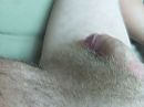 behaard, foto 2048x1536, 4 reacties, 4 stemmen