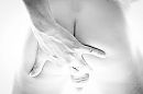 billen, foto 1235x828, 2 reacties, 5 stemmen