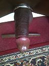 blackbulll, foto 1944x2592, 0 reacties, 7 stemmen