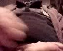bloed geil, film 00:00:25, 0 reacties, 1 stemmen