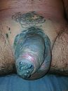 blue dick, foto 1920x2560, 7 reacties, 3 stemmen