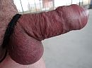 bondage 3, foto 4000x3000, 1 reacties, 5 stemmen