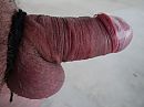 bondage 9, foto 4000x3000, 1 reacties, 9 stemmen