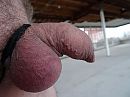 bondage, foto 4000x3000, 0 reacties, 9 stemmen