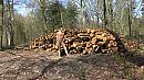 brandhout, foto 1920x1080, 2 reacties, 14 stemmen