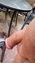 bruin, foto 1440x2560, 1 reacties, 2 stemmen