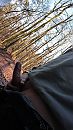 buiten in het bos, foto 1836x3264, 2 reacties, 12 stemmen
