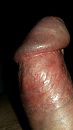 close up van paddestoeltje, foto 1836x3264, 0 reacties, 3 stemmen
