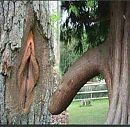 de mooie natuur..., foto 458x449, 1 reacties, 6 stemmen