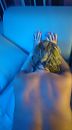 doe maar, foto 719x1280, 18 reacties, 148 stemmen