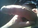 een zonnige foto, foto 1600x1200, 5 reacties, 15 stemmen