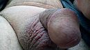 eikel, foto 1280x720, 1 reacties, 5 stemmen